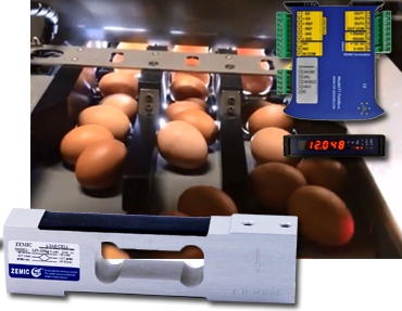 Zemic Load Cell and Weight Transmitter used for Egg Weighing Machine