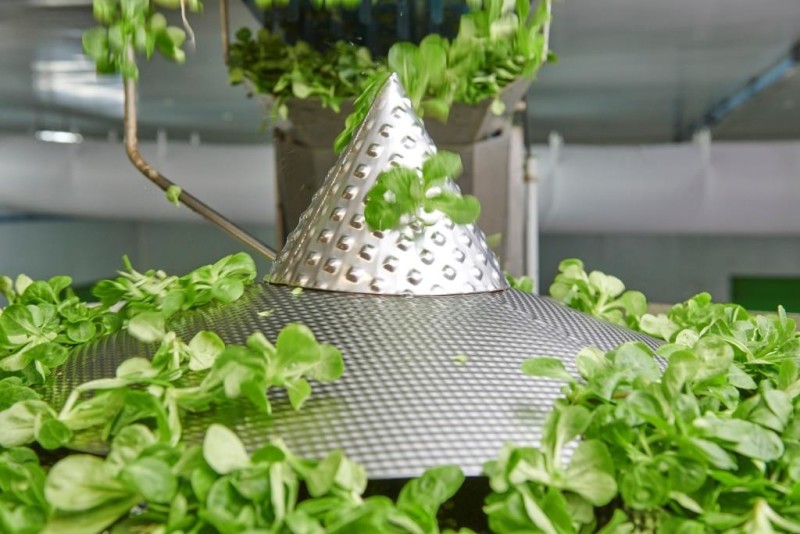 Ishida Provides Ideal Solution for Salad Weighing