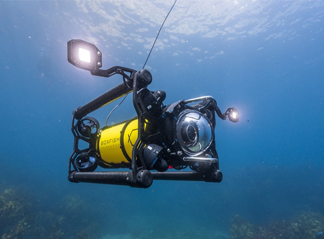 Unique Group Announces Partnership with Boxfish Research