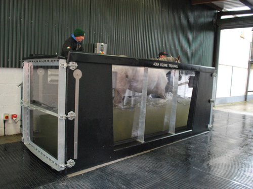 Invertek's Variable Frequency Drives help keep racehorses on track to success