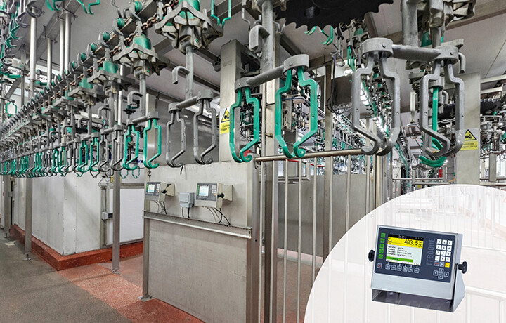 SysTec Weighing Solutions for Poultry Processing Lines at Noble Foods